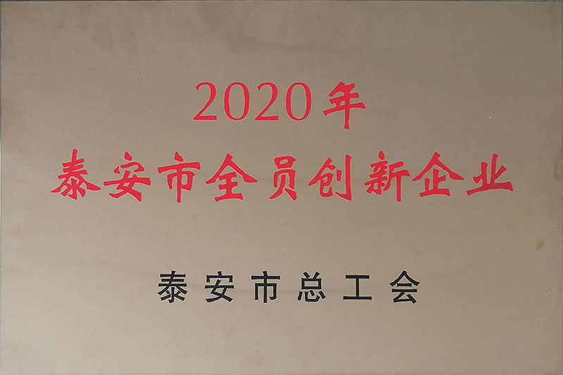 2020年泰安市全员创新企业